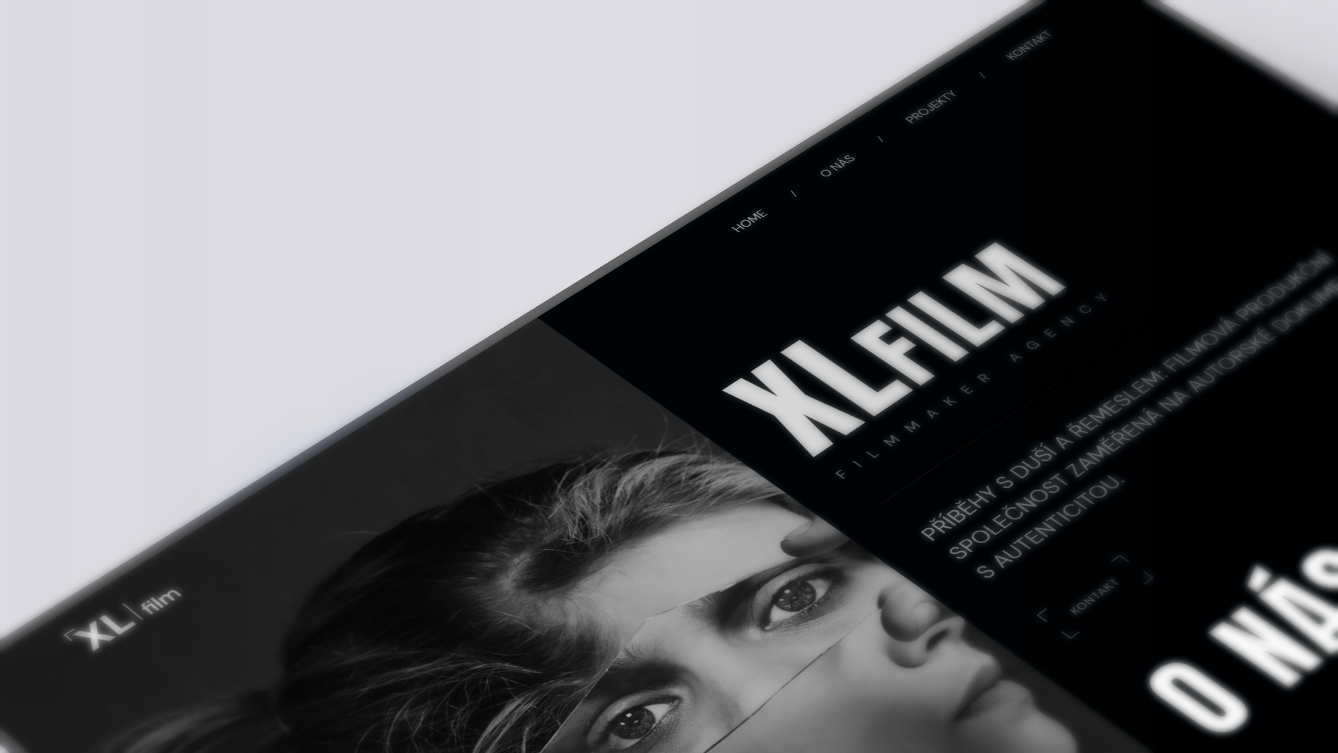 Ukázka webových projektů Netlynx