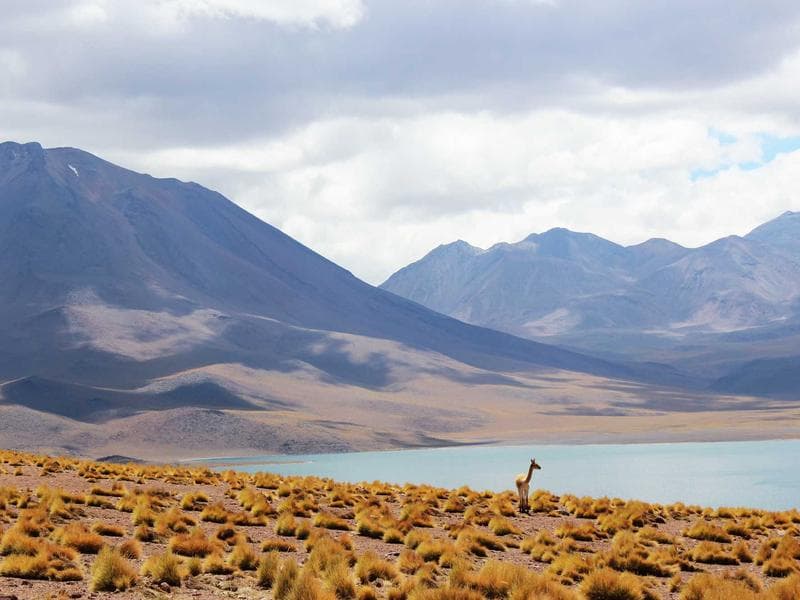 Optimalizovaný checkout proces